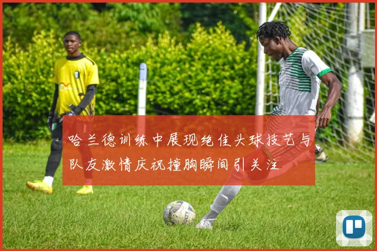 哈兰德训练中展现绝佳头球技艺与队友激情庆祝撞胸瞬间引关注